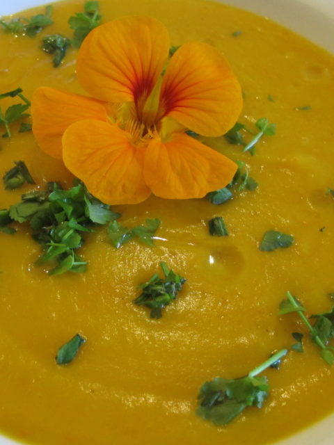 Kürbissuppe